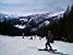 Everyone skiing (295x)