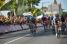 Matteo Trentin (OPQS) en route vers la victoire (231x)