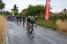 The peloton in La Jarige (2) (338x)