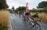The peloton in La Jarige (3) (326x)