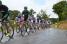 The peloton in Orsennes (2) (322x)