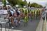 Vini Fantini-Selle Italia at the head of the peloton (456x)