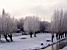 Winters landschap in Kinderdijk (132x)
