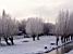 Wintery landscape in Kinderdijk (132x)