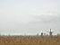 Mills in Kinderdijk (400x)