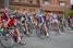 The peloton at the forelast visit of Isbergues at the start (2) (264x)