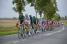 Het peloton onder leiding van de sprintersploegen in Hinges (268x)