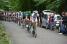 Tom Stamsnijder (Argos-Shimano) leading the peloton in the forest of Nédonchel (261x)