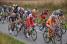 Florent Barle (Cofidis) close to Enguinegatte (360x)