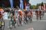 The peloton crosses the line in Isbergues (3) (346x)