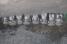 A reflection of the Argos-Shimano team (754x)