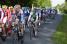 David Lelay (Sojasun) in the peloton (410x)