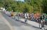 The peloton in Poss-sur-Cisse (4) (553x)