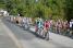 The peloton in Poss-sur-Cisse (5) (541x)