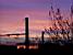 The rising sun (147x)