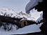 A typical wintery picture (265x)