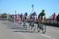 The peloton on the bridge in Mantes-la-Jolie (2) (235x)