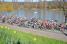 The peloton following the Seine river (4) (214x)