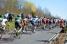 The peloton in Fontenay-sur-Loing (4) (277x)