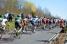 The peloton in Fontenay-sur-Loing (4) (593x)