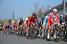 The peloton in Saint-Fargeau (3) (441x)