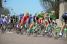 The peloton in Bouhy (3) (440x)