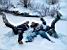 Thomas, Cédric & Isabelle dans la neige (113x)