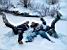 Thomas, Cdric & Isabelle in the snow (269x)