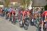 The peloton in Anlezy (412x)