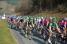 Het peloton aan de voet van de col du Champ Juin (2) (239x)