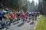 Le peloton au pied du col du Champ Juin (3) (313x)