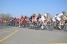 The peloton with Rui Costa (296x)