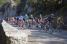 Het peloton in de afdaling van de Côte de Bonnieux (373x)