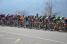 Het peloton in Saint-Martin-du-Var (248x)
