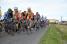 The peloton chasing behind the 12 riders (2) (560x)
