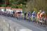 The peloton in the 9th lap (465x)