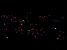 Lights in the darkness (286x)