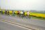 The early breakaway (2) (903x)