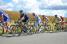 John Gadret (Movistar Team) (191x)