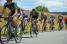 Jimmy Engoulvent (Europcar) (442x)