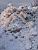 Some of the snow at the car park of the mall (225x)