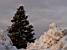 Some of the snow at the car park of the mall (270x)