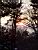 Sunset in Burlington (341x)