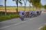 L'equipe FDJ.fr en tete du peloton a Hinges (401x)