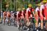 The Cofidis team in the peloton (452x)