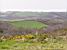 Dartmoor National Park (255x)