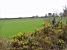 Dartmoor National Park (235x)