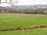 Dartmoor National Park (227x)