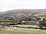 Sheeps with in the background the Lake viaduct in Dartmoor National Park (283x)