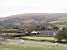 Sheeps with in the background the Lake viaduct in Dartmoor National Park (160x)